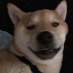 Meet your Posher, Dayianna